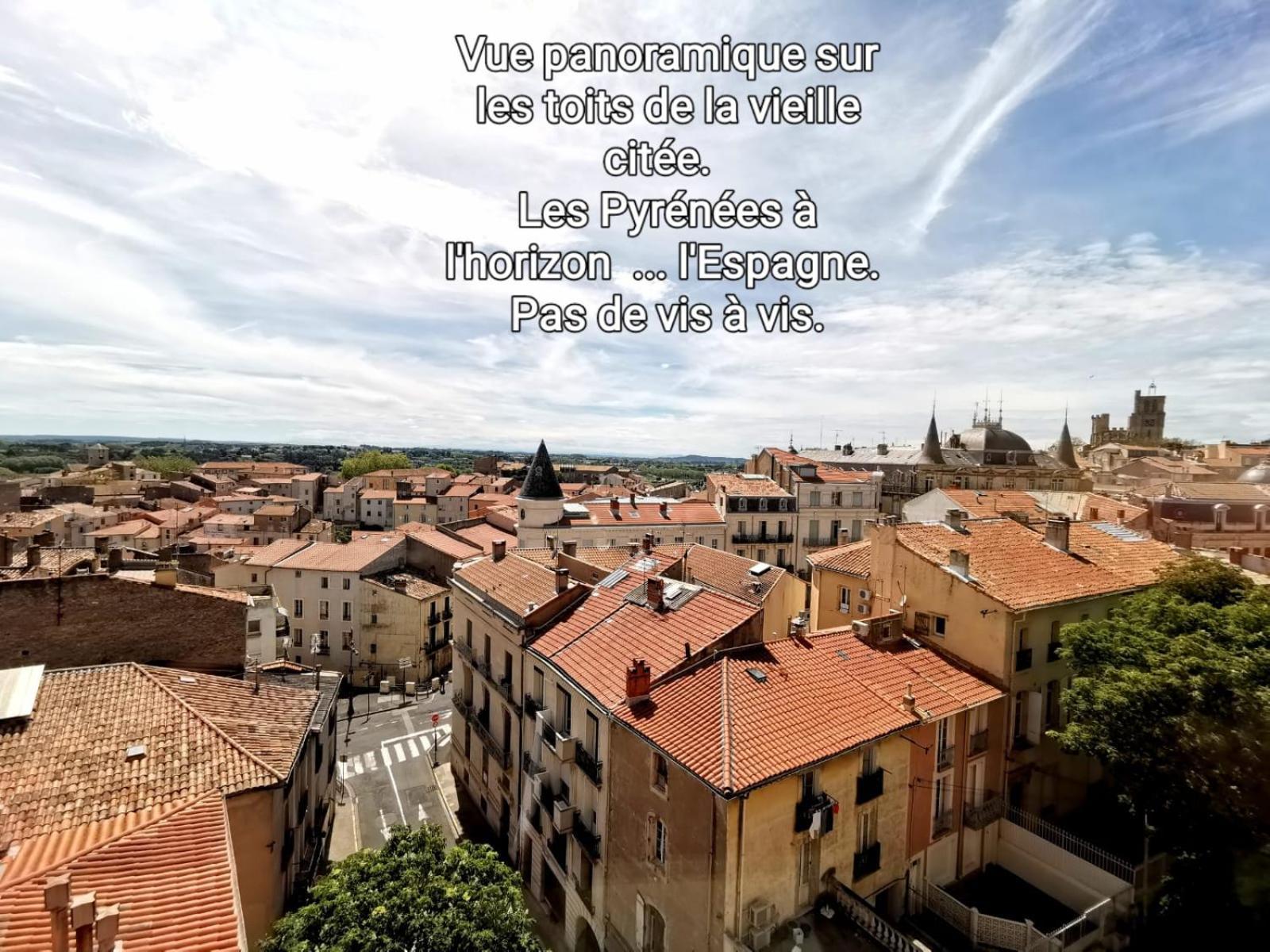 Studio Non Fumeur 38M2 Calme, Confort, Ascenseur Béziers Eksteriør billede